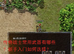 传奇战士常用武器有哪些?新手入门如何选择? 传奇战士常用武器有哪些?新手入门如何选择?