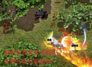��ְҵ�����Ҷ�������Щ�ط���㣿