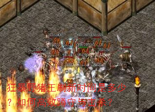 狂暴野猪王刷新时间是多少?如何高效蹲守与击杀? 狂暴野猪王刷新时间是多少?如何高效蹲守与击杀?