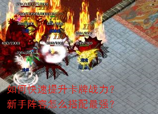 如何快速提升卡牌战力?新手阵容怎么搭配最强? 如何快速提升卡牌战力?新手阵容怎么搭配最强?