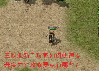 三职业新手玩家如何快速提升实力?攻略要点有哪些? 三职业新手玩家如何快速提升实力?攻略要点有哪些?