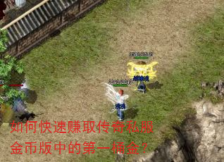 如何快速赚取传奇私服金币版中的第一桶金? 如何快速赚取传奇私服金币版中的第一桶金?