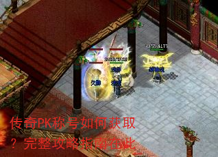 ����PK�ƺ���λ�ȡ����������ָ���ڴ�