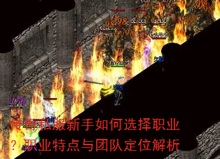 ����˽���������ѡ��ְҵ��ְҵ�ص����ŶӶ�λ����