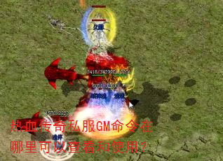 ��Ѫ����˽��GM������������Բ鿴��ʹ�ã�