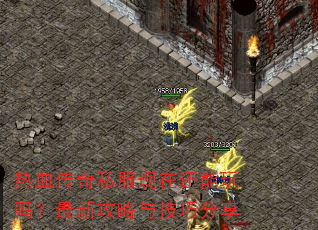 ��Ѫ����˽�����ڻ����������¹����뼼�ɷ���