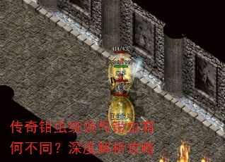 传奇钳虫统领与钳虫有何不同?深度解析攻略 传奇钳虫统领与钳虫有何不同?深度解析攻略