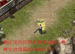 脆皮法师如何单挑黄金格斗传奇中的隐藏BOSS蛇妖王? 脆皮法师如何单挑黄金格斗传奇中的隐藏BOSS蛇妖王?