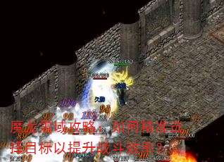 魔龙雪域攻略:如何精准选择目标以提升战斗效率? 魔龙雪域攻略:如何精准选择目标以提升战斗效率?