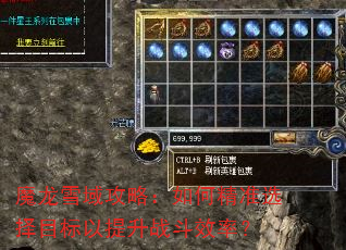 魔龙雪域攻略:如何精准选择目标以提升战斗效率? 魔龙雪域攻略:如何精准选择目标以提升战斗效率?
