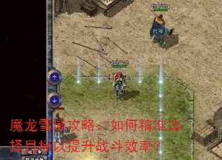 魔龙雪域攻略:如何精准选择目标以提升战斗效率? 魔龙雪域攻略:如何精准选择目标以提升战斗效率?