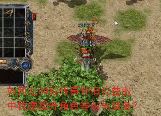 如何在60级传奇怀旧公益服中快速提升角色等级与装备? 如何在60级传奇怀旧公益服中快速提升角色等级与装备?