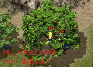 战士为何成为传奇新手入门首选职业? 战士为何成为传奇新手入门首选职业?