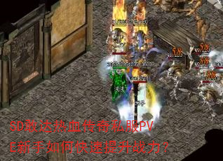 SD敢达热血传奇私服PVE新手如何快速提升战力? SD敢达热血传奇私服PVE新手如何快速提升战力?