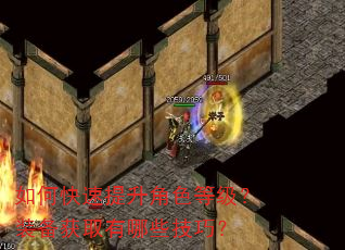 如何快速提升角色等级?装备获取有哪些技巧? 如何快速提升角色等级?装备获取有哪些技巧?