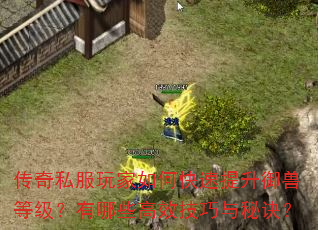 传奇私服玩家如何快速提升御兽等级?有哪些高效技巧与秘诀? 传奇私服玩家如何快速提升御兽等级?有哪些高效技巧与秘诀?