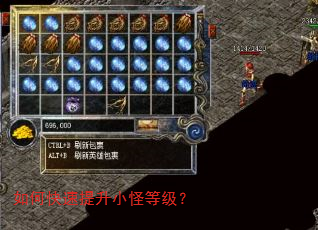 如何快速提升小怪等级? 如何快速提升小怪等级?