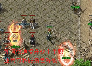 如何快速提升战士单职业传奇私服角色等级? 如何快速提升战士单职业传奇私服角色等级?