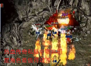 热血传奇私服中哪些明星角色最值得培养? 热血传奇私服中哪些明星角色最值得培养?