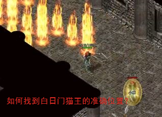 如何找到白日门猫王的准确位置? 如何找到白日门猫王的准确位置?