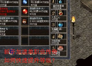新开加速单职业传奇如何快速提升等级? 新开加速单职业传奇如何快速提升等级?