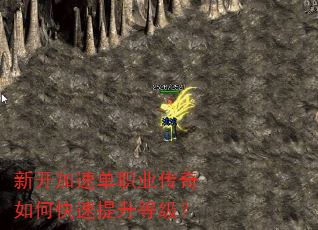 新开加速单职业传奇如何快速提升等级? 新开加速单职业传奇如何快速提升等级?