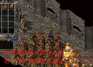 传奇游戏里sf是什么意思?求大神解答攻略技巧 传奇游戏里sf是什么意思?求大神解答攻略技巧