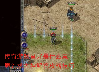传奇游戏里sf是什么意思?求大神解答攻略技巧 传奇游戏里sf是什么意思?求大神解答攻略技巧
