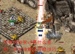 传奇游戏里sf是什么意思?求大神解答攻略技巧 传奇游戏里sf是什么意思?求大神解答攻略技巧