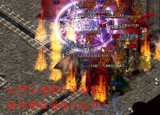 ��ο�������ʥ�ʵ�ְҵ����˽����ɫս����
