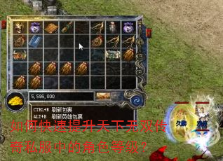 如何快速提升天下无双传奇私服中的角色等级? 如何快速提升天下无双传奇私服中的角色等级?