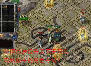 如何快速提升天下无双传奇私服中的角色等级? 如何快速提升天下无双传奇私服中的角色等级?