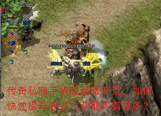 传奇私服手机版新服开荒,如何快速提升战力与获取稀有装备? 传奇私服手机版新服开荒,如何快速提升战力与获取稀有装备?