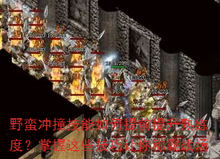 野蛮冲撞技能如何提前提升熟练度?掌握这些技巧让你称霸战场 野蛮冲撞技能如何提前提升熟练度?掌握这些技巧让你称霸战场