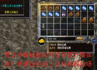 野蛮冲撞技能如何提前提升熟练度?掌握这些技巧让你称霸战场 野蛮冲撞技能如何提前提升熟练度?掌握这些技巧让你称霸战场
