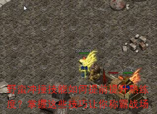 野蛮冲撞技能如何提前提升熟练度?掌握这些技巧让你称霸战场 野蛮冲撞技能如何提前提升熟练度?掌握这些技巧让你称霸战场