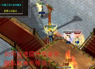 如何快速提升圣者无敌私服角色等级? 如何快速提升圣者无敌私服角色等级?