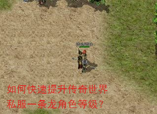 如何快速提升传奇世界私服一条龙角色等级? 如何快速提升传奇世界私服一条龙角色等级?