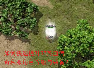 如何快速提升37热血传奇私服角色等级与装备? 如何快速提升37热血传奇私服角色等级与装备?