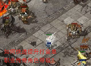 如何快速提升打金单职业传奇角色等级? 如何快速提升打金单职业传奇角色等级?