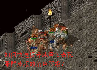 如何快速提升冰雪传奇私服群英版的角色等级? 如何快速提升冰雪传奇私服群英版的角色等级?