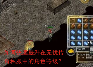如何快速提升在无忧传奇私服中的角色等级? 如何快速提升在无忧传奇私服中的角色等级?