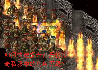 如何快速提升在无忧传奇私服中的角色等级? 如何快速提升在无忧传奇私服中的角色等级?