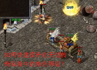 如何快速提升在无忧传奇私服中的角色等级? 如何快速提升在无忧传奇私服中的角色等级?