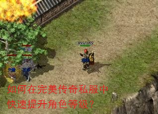如何在完美传奇私服中快速提升角色等级? 如何在完美传奇私服中快速提升角色等级?