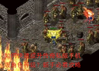 如何快速提升传奇私服手机版角色等级?新手必看攻略 如何快速提升传奇私服手机版角色等级?新手必看攻略