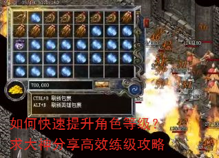 如何快速提升角色等级?求大神分享高效练级攻略 如何快速提升角色等级?求大神分享高效练级攻略
