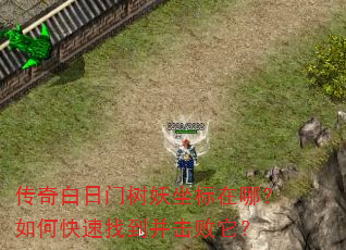 传奇白日门树妖坐标在哪?如何快速找到并击败它? 传奇白日门树妖坐标在哪?如何快速找到并击败它?