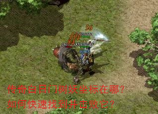 传奇白日门树妖坐标在哪?如何快速找到并击败它? 传奇白日门树妖坐标在哪?如何快速找到并击败它?