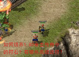 如何培养1.80合击传奇中的符石?有哪些高效途径? 如何培养1.80合击传奇中的符石?有哪些高效途径?